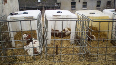 Odborná exkurze na zemědělské farmě Hostice