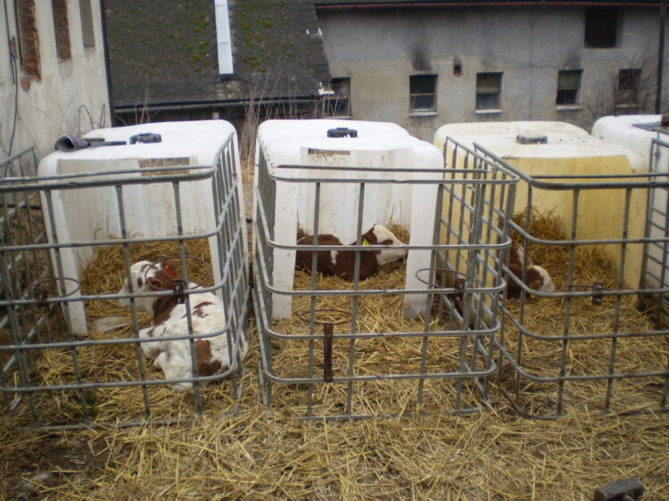 Odborná exkurze na zemědělské farmě Hostice