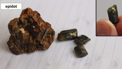 Geologicko – botanická exkurze 1.B