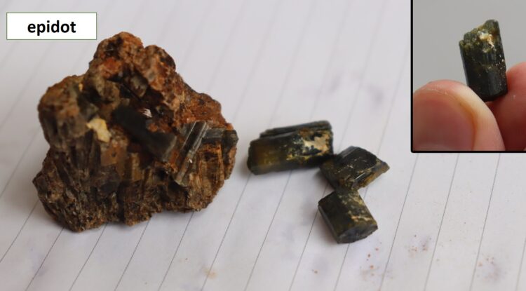 Geologicko – botanická exkurze 1.B