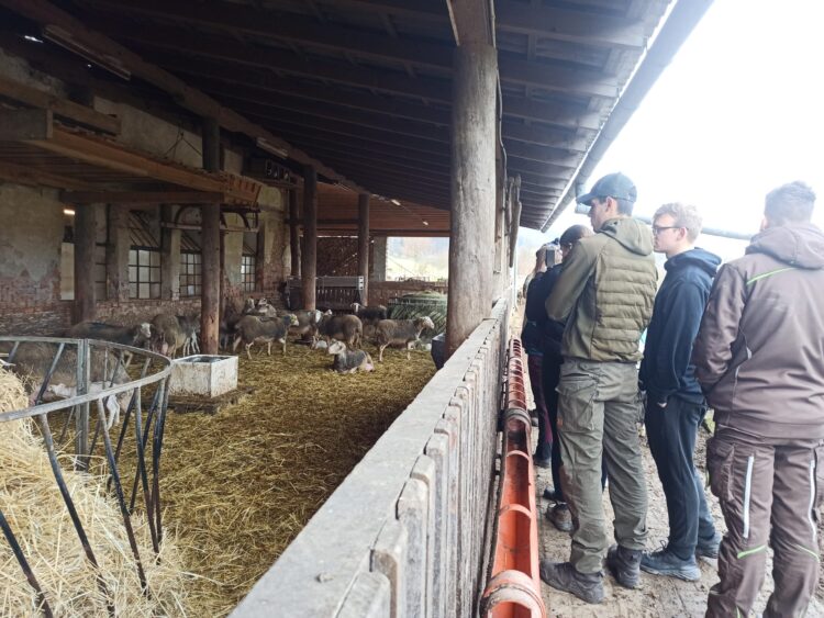 Odborná exkurze na ovčím statku pana Hrdličky v Brníčku